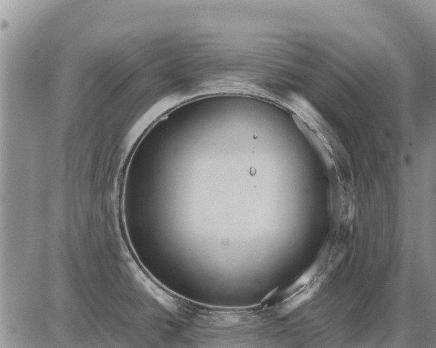 X0000087691438200705181743