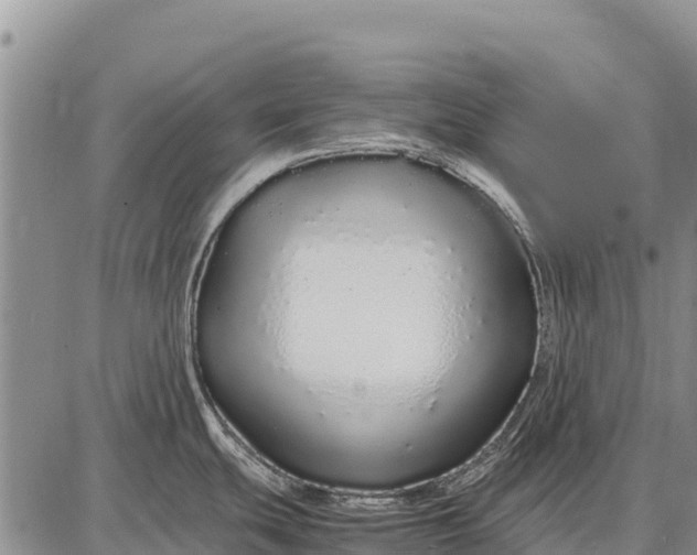 X0000087691439200705181743