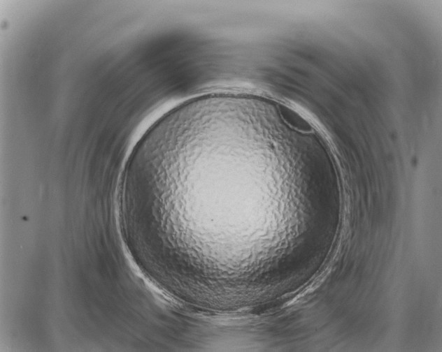 X0000087691440200705181744