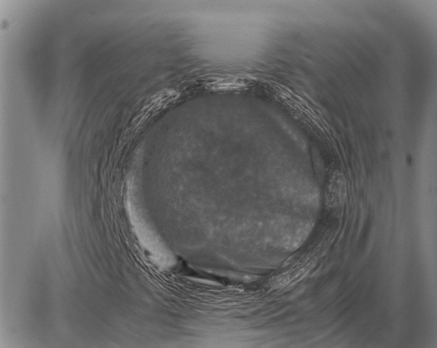 X0000087691441200705181743