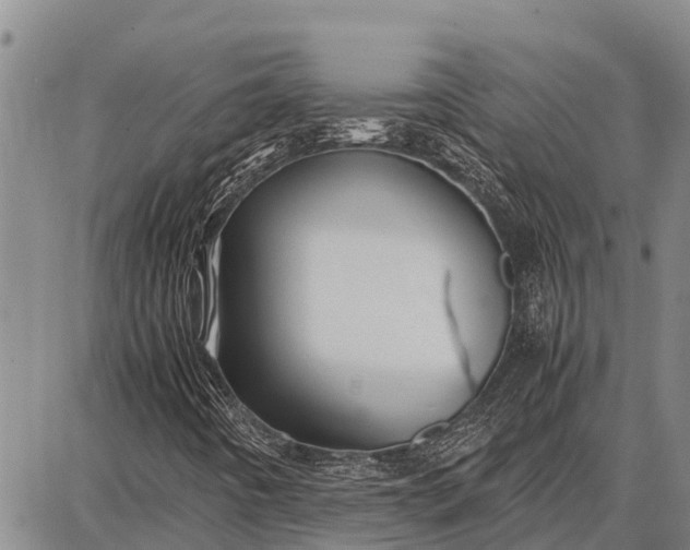 X0000087691442200705181743