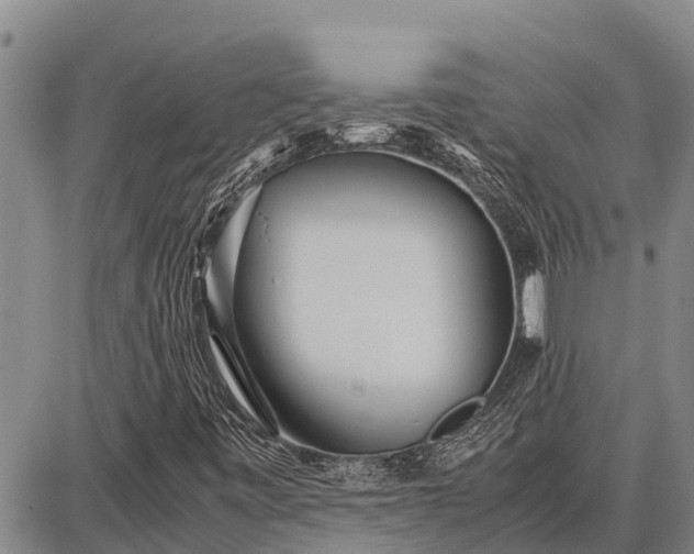 X0000087691443200705181743