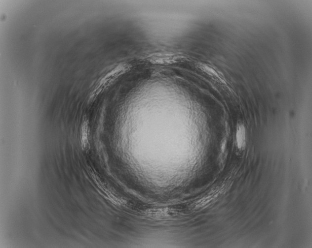 X0000087691444200705181743