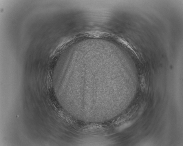 X0000087691446200705181743