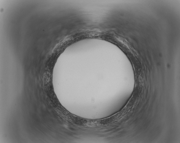 X0000087691447200705181743