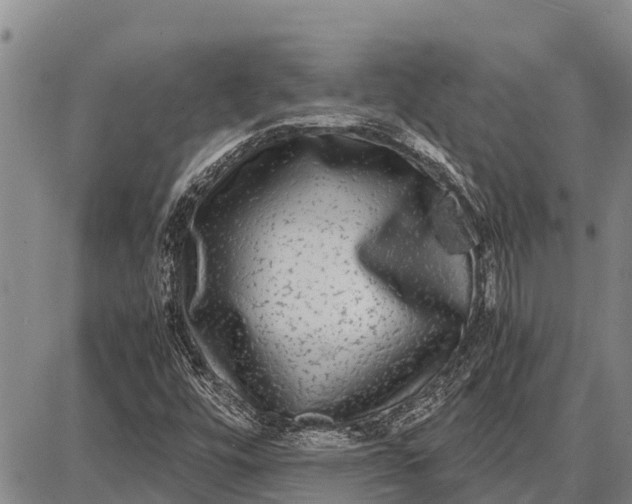 X0000087691448200705181743