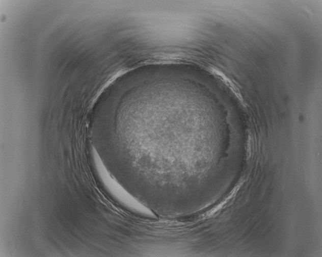 X0000087691449200705181743