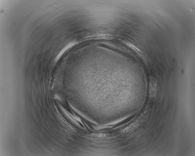 X0000087691450200705181743