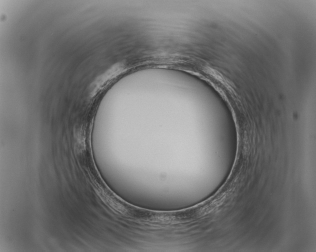 X0000087691451200705181743