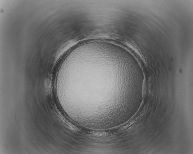 X0000087691452200705181743