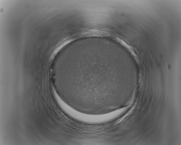 X0000087691453200705181743