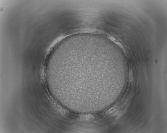 X0000087691454200705181743