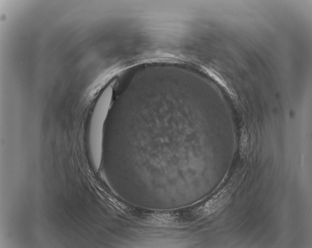 X0000087691455200705181743