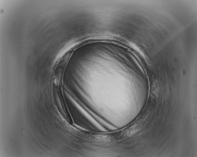 X0000087691456200705181742