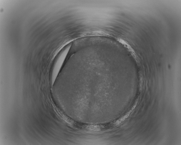 X0000087691457200705181742