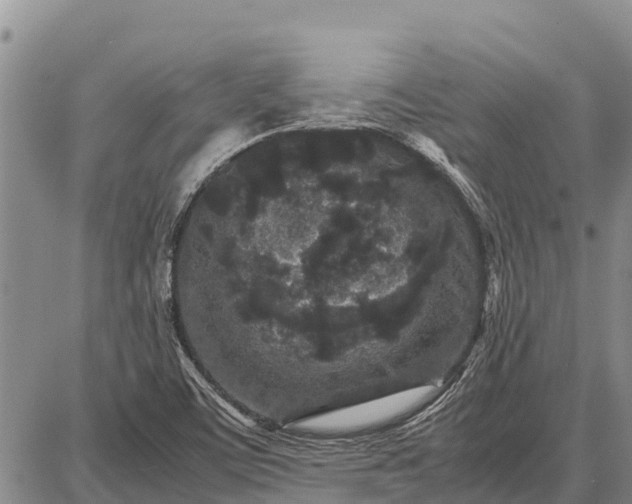 X0000087691459200705181742