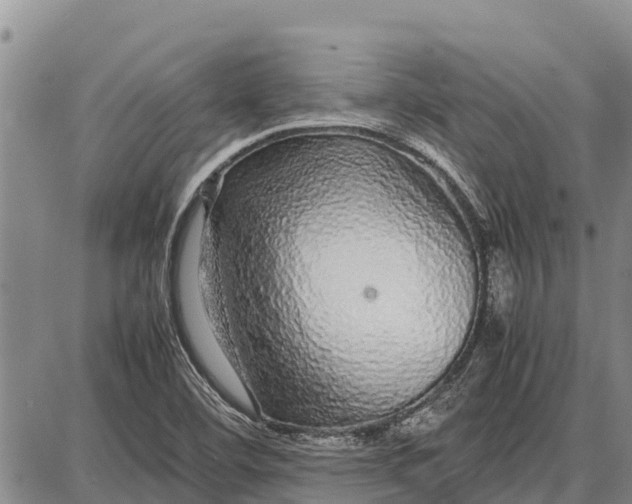 X0000087691460200705181742