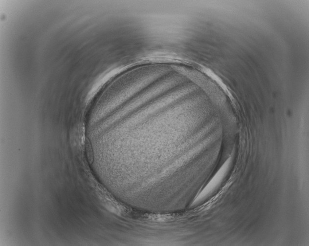 X0000087691461200705181742