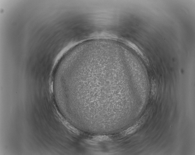 X0000087691462200705181742