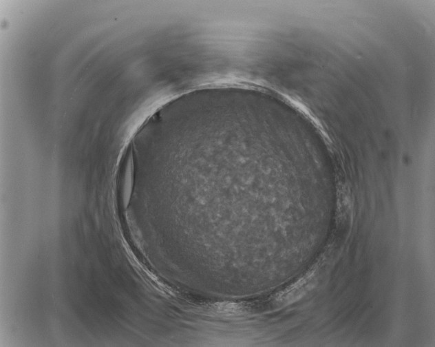 X0000087691463200705181742