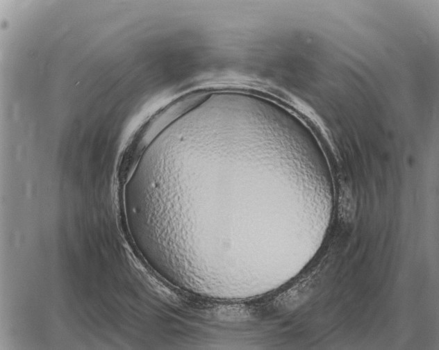 X0000087691464200705181742