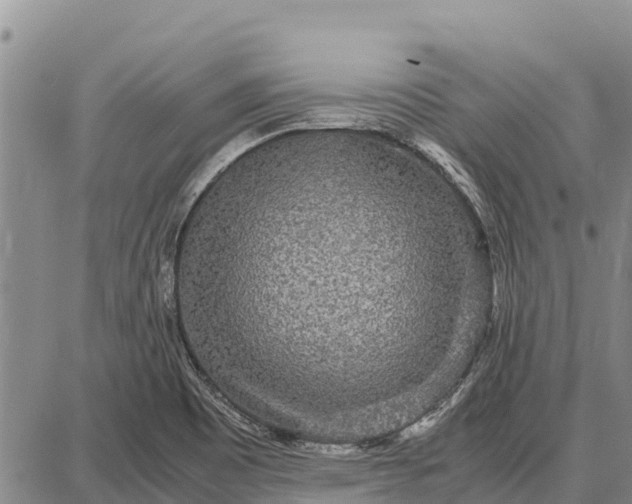 X0000087691465200705181742