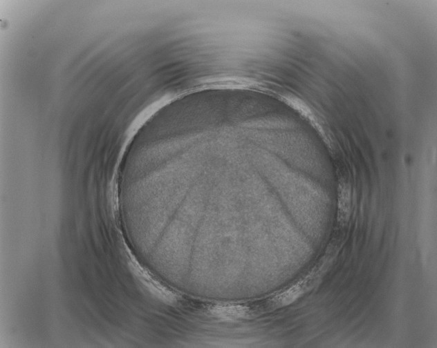 X0000087691466200705181742