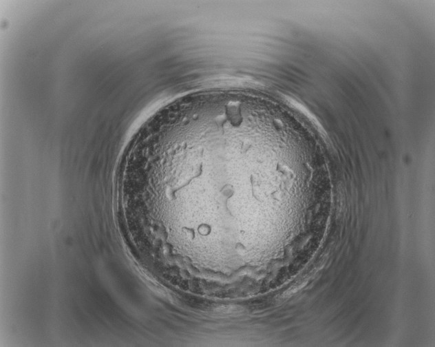 X0000087691467200705181742