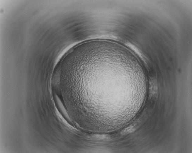 X0000087691468200705181742