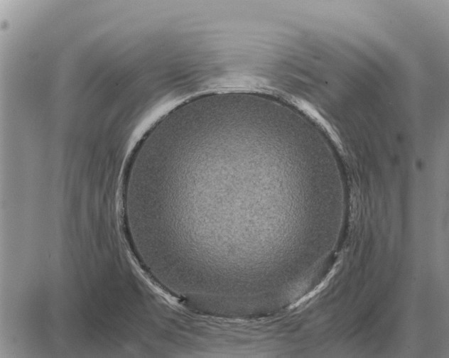 X0000087691469200705181742