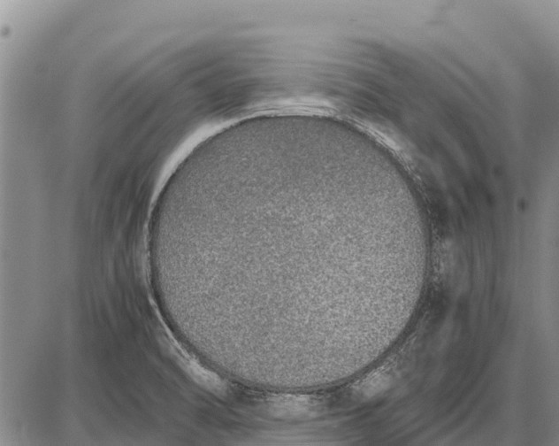 X0000087691470200705181742