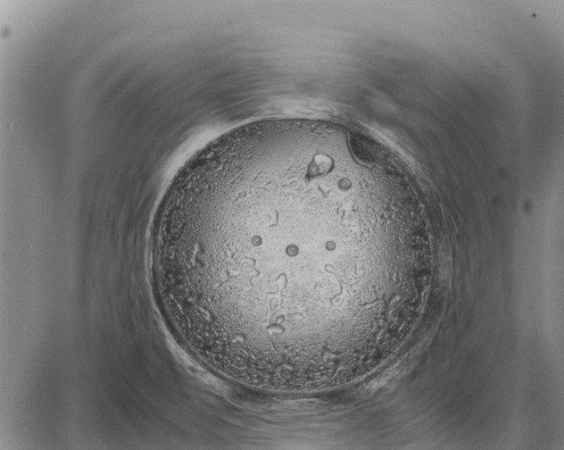 X0000087691471200705181742