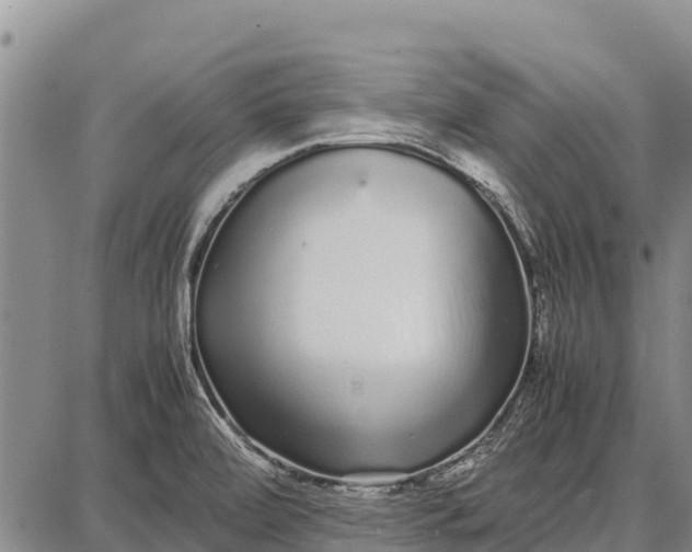 X0000087691472200705181742