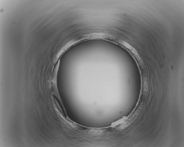 X0000087691473200705181742