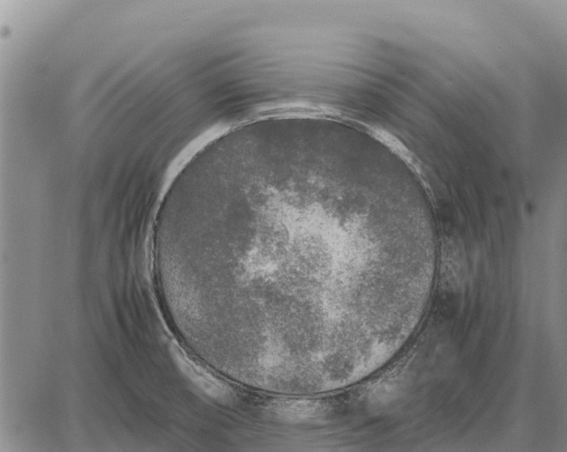 X0000087691474200705181742