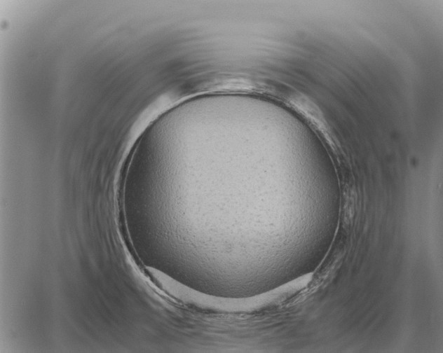 X0000087691475200705181742