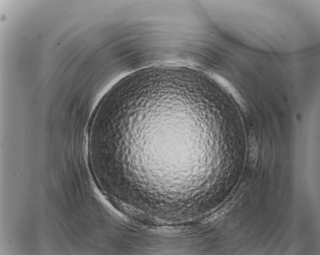 X0000087691476200705181742