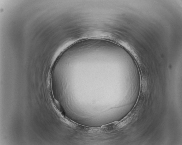 X0000087691477200705181742