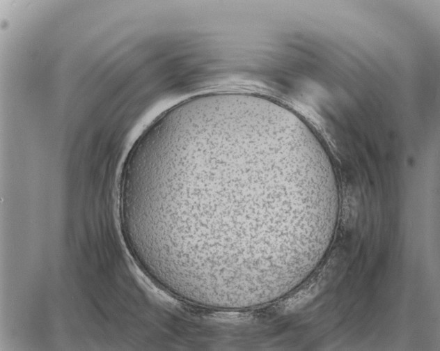 X0000087691478200705181742