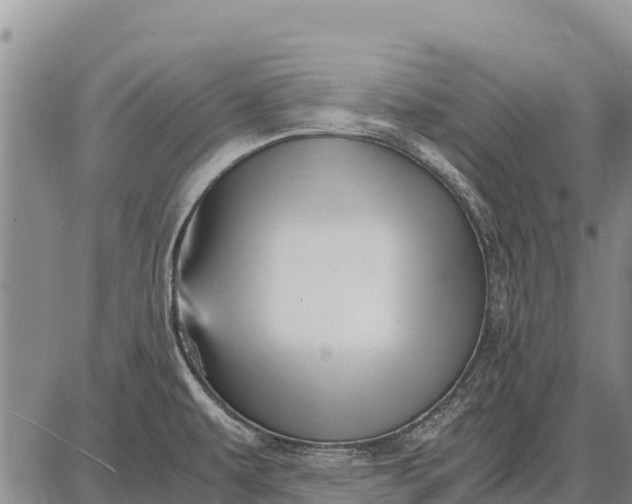 X0000087691479200705181742