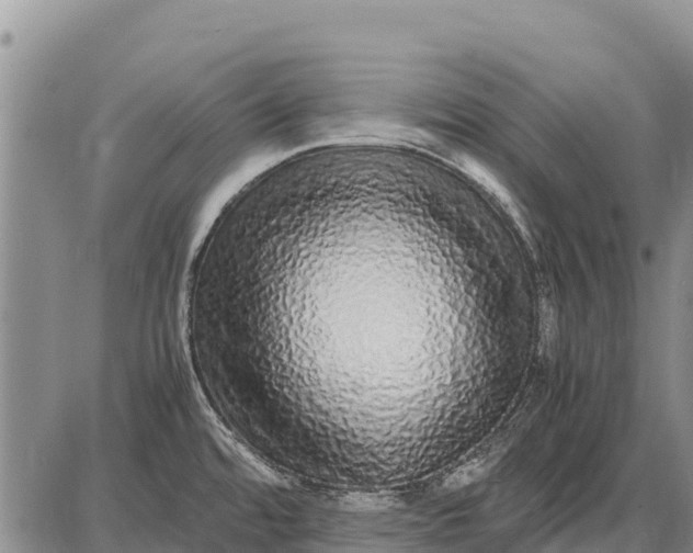 X0000087691480200705181742