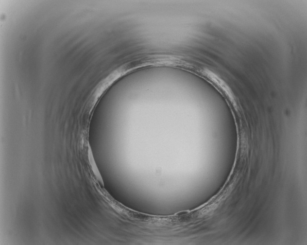 X0000087691481200705181742