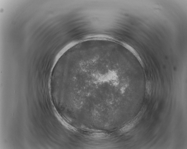 X0000087691482200705181742