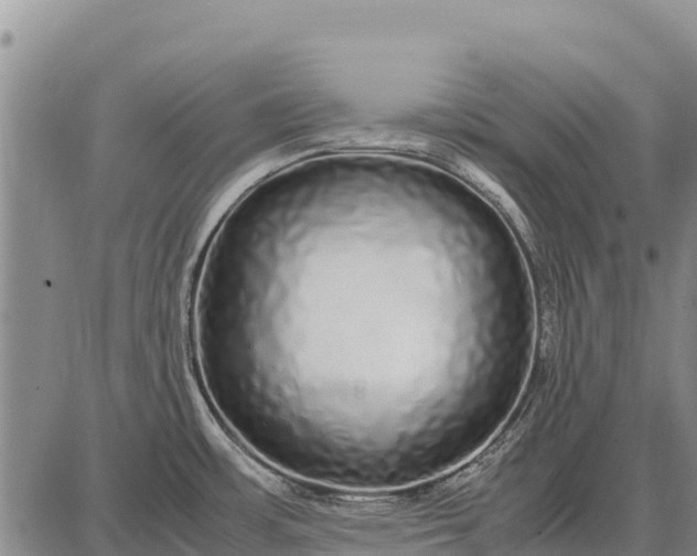 X0000087691483200705181742