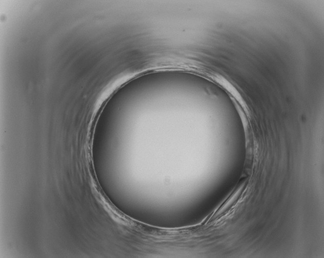 X0000087691485200705181742