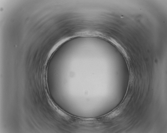 X0000087691486200705181742