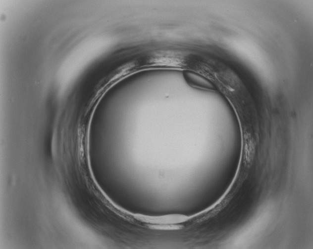 X0000087691487200705181742