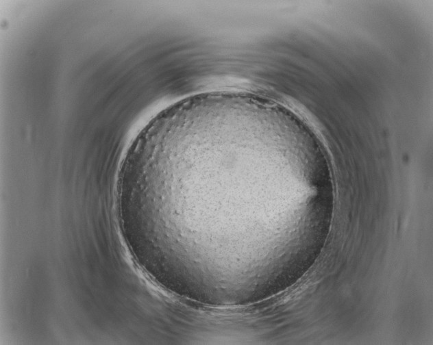 X0000087691488200705181742