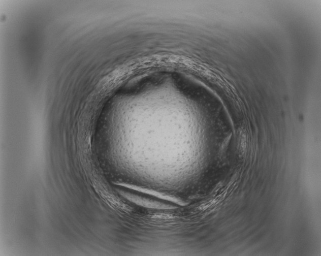 X0000087691489200705181741