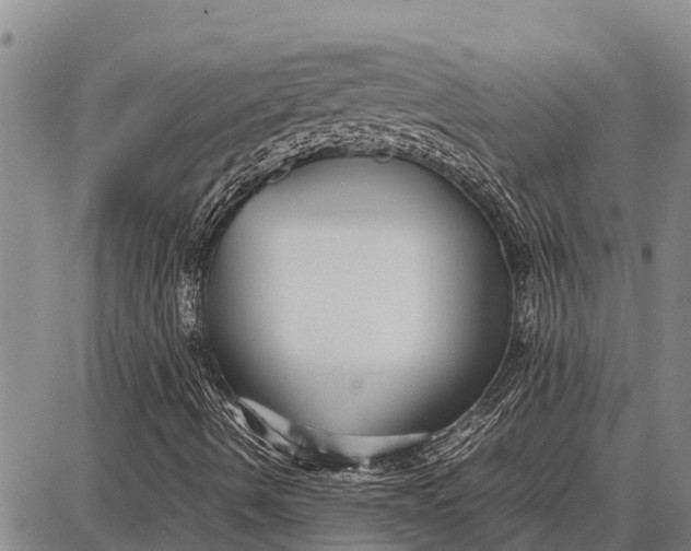 X0000087691490200705181741